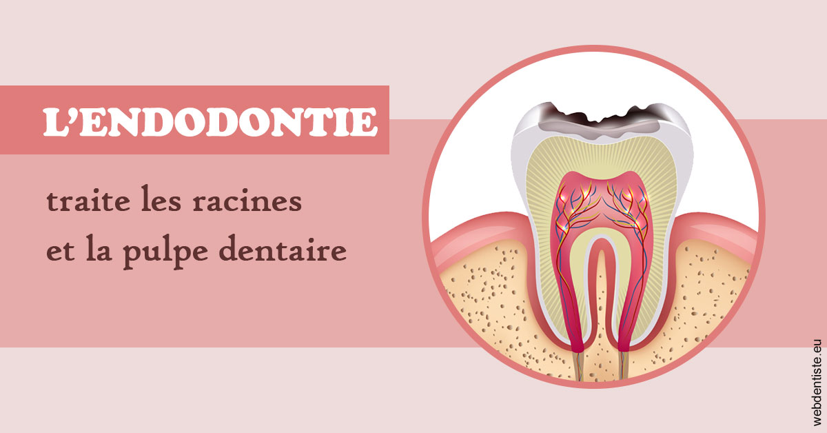 https://selarl-gelos.chirurgiens-dentistes.fr/L'endodontie 2